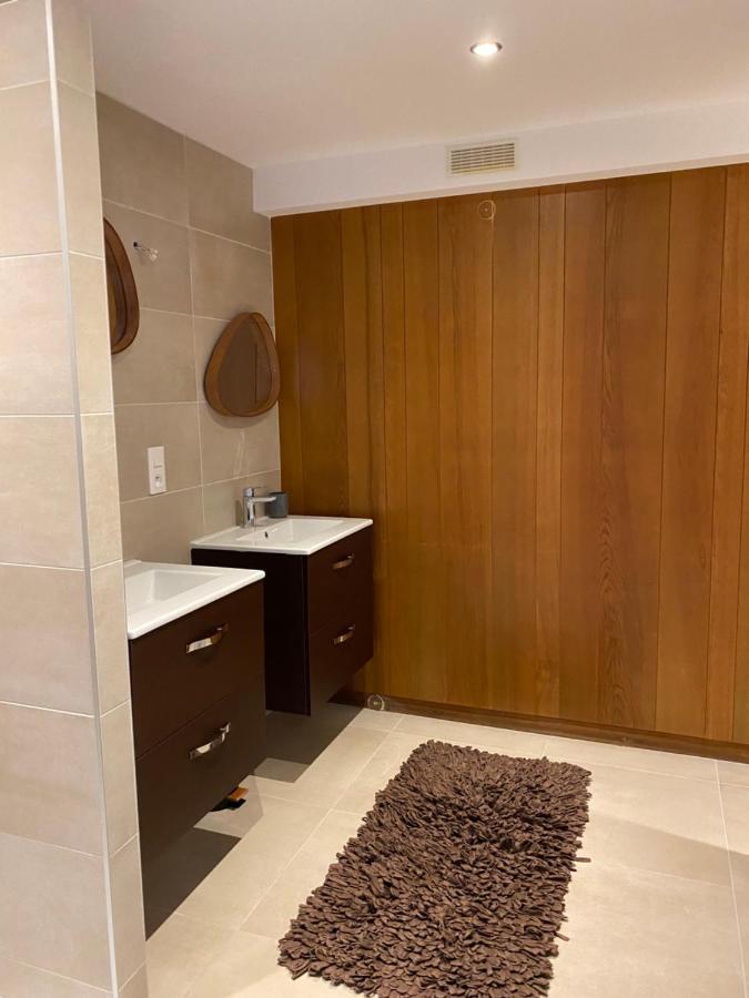 Appartement Atypique Epinal Gare Eksteriør billede